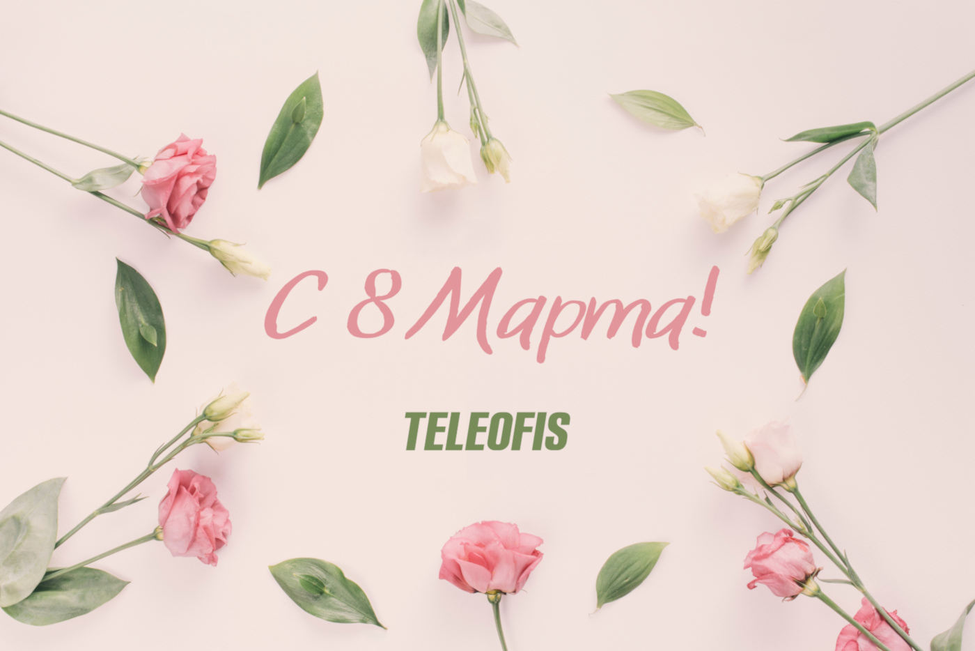 teleofis-8-march-2021